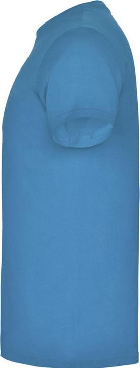 Actual product image Alpinia Mens Beagle Short-Sleeved T-Shirt (XXL)