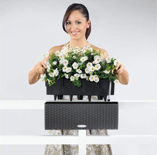 Actual product image Lechuza Balconera Cottage (19 cm)