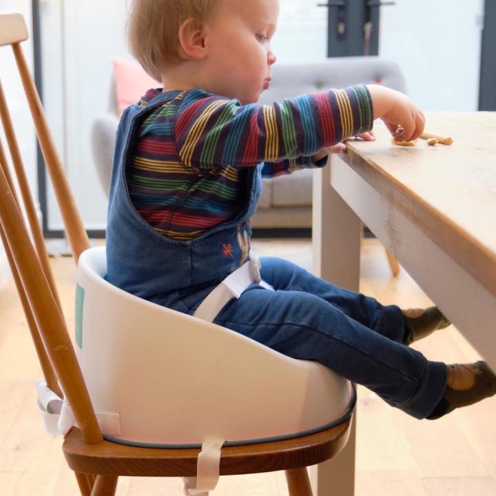 Actual product image Prince Lionheart Booster seat Squish (High chair booster seat)