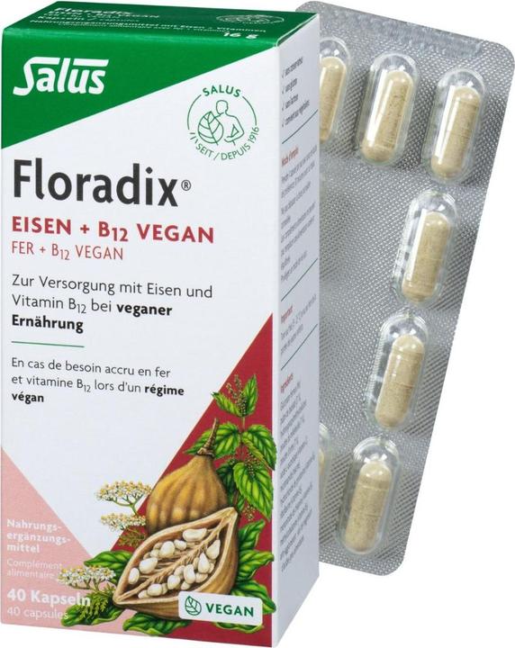 Actual product image Floradix Iron and B 12 Vegan (1 Piece, Capsules, 37 g)