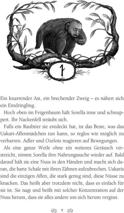 Produktbild Caldera 2: Die Rückkehr der Schattenwandler (Deutsch, Eliot Schrefer, 2019)