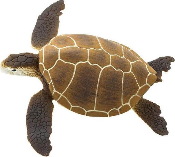 Produktbild Safari Braune Suppenschildkröte
