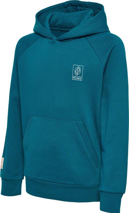 Actual product image hummel Gg12 Sweat Hoodie Kids (140)