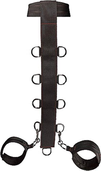 Actual product image Shots Neck and Wrist Restraint
