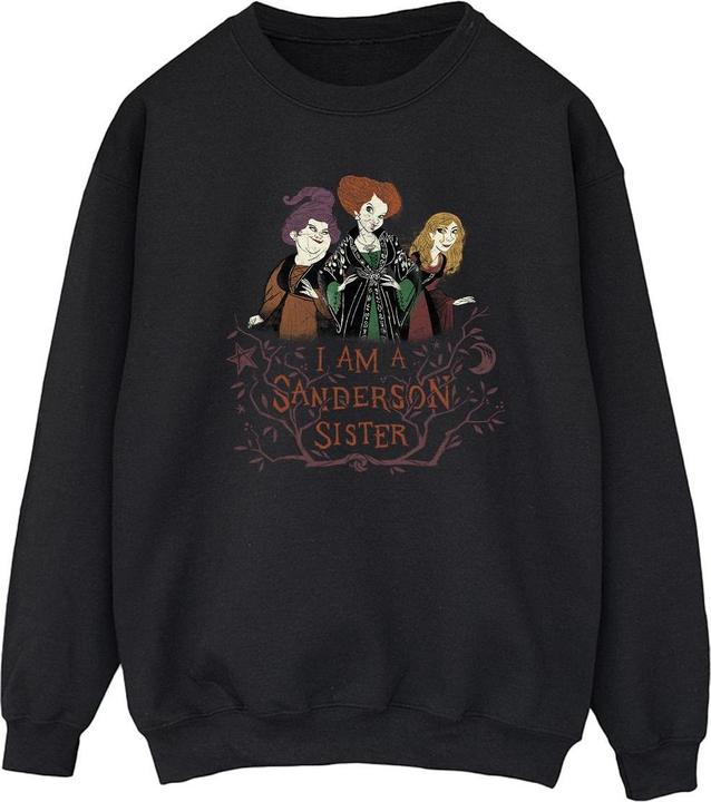 Actual product image Disney Mens Hocus Pocus Sanderson Sister Sweatshirt (XXL)