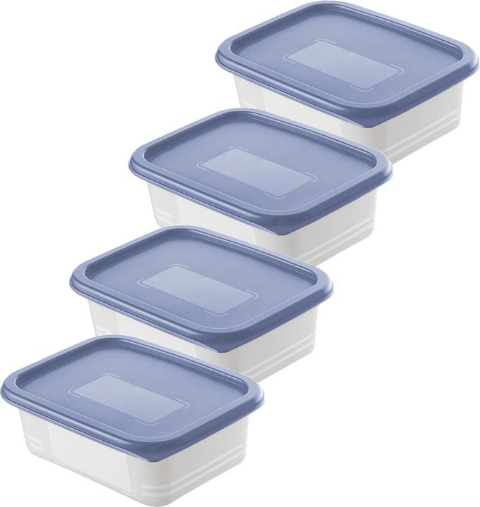 Immagine prodotto Rotho Gefrierdosen Set (0.50 l)