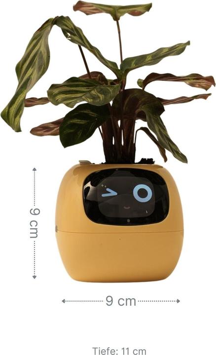 Produktbild Hermex Elektronischer Blumentopf Smarter Blumentopf (11 cm)