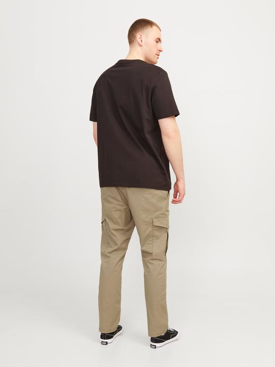 Image du produit Jack & Jones Jpstace Jjsummer Cargo Pls (W44/L32)