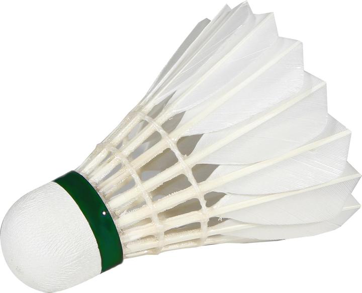 Image du produit Victor Volants de badminton Pro Court