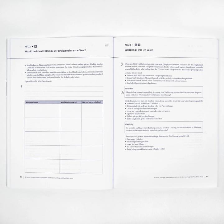 Actual product image Therapie-Tools Stärkenarbeit mit Kindern und Jugendlichen (German, Hannah Heine, 2023)