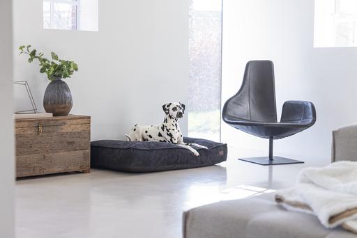 Produktbild Designed by Lotte Liegekissen (Hund)