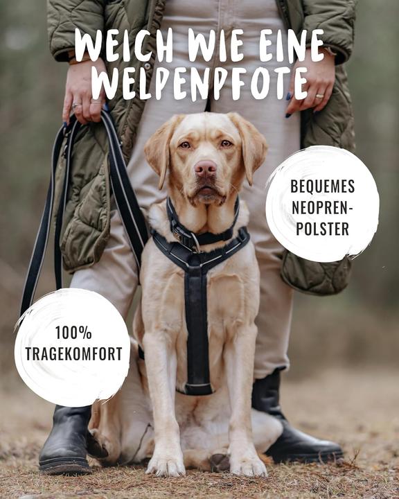 Actual product image Rudelkönig Hundegeschirr Paola mit Reflektoren und Haltegriff (S, Dog, Walks, General)
