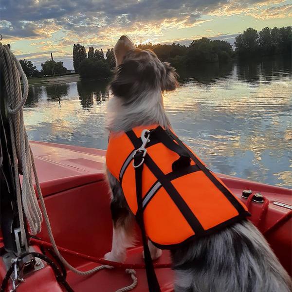 Actual product image Nobby Dogs buoyancy aid (40, Dog life jacket)