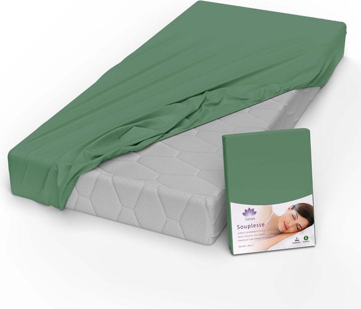 Produktbild Lotus Bettwaren Jersey Fixleintuch Souplesse (90 x 190 cm, 100 x 200 cm, 90 x 200 cm)