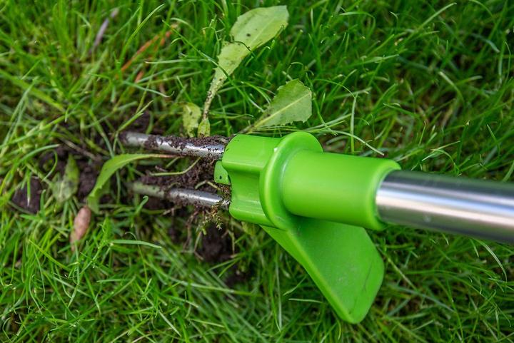 Actual product image Verto Weeder