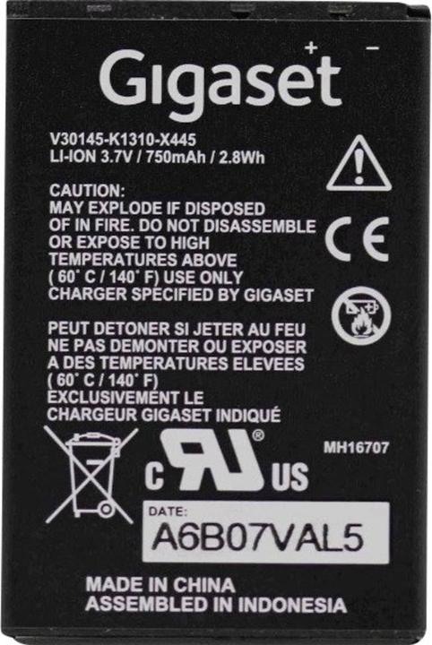 Actual product image Gigaset S30852-D2152-X1