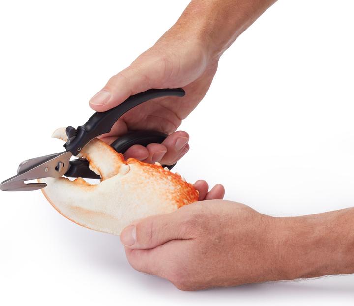 Immagine prodotto Master Class Cesoie per frutti di mare da 18,5 cm, in blister