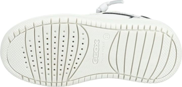 Actual product image Geox Sneaker (33)