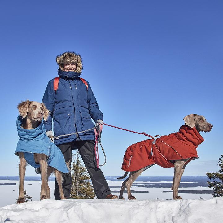 Immagine prodotto Hurtta Extreme Warmer V3 Eco Blue, 55 cm (55, Cappotto per cani)