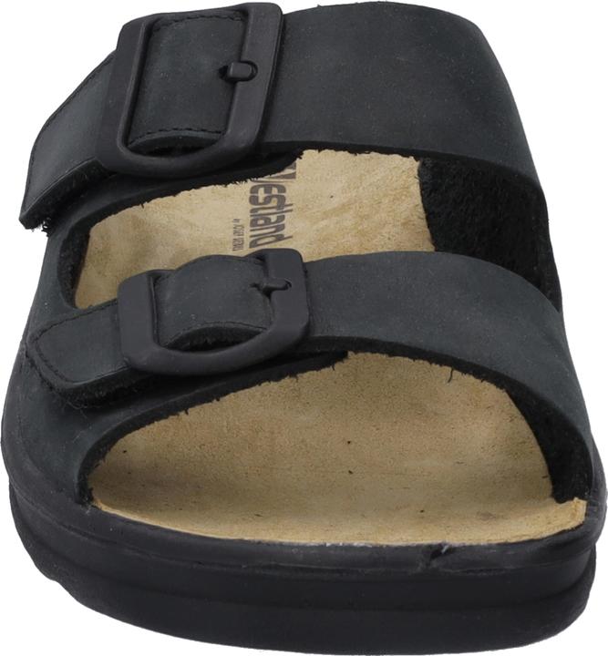 Image du produit Westland 26266-348 (48)