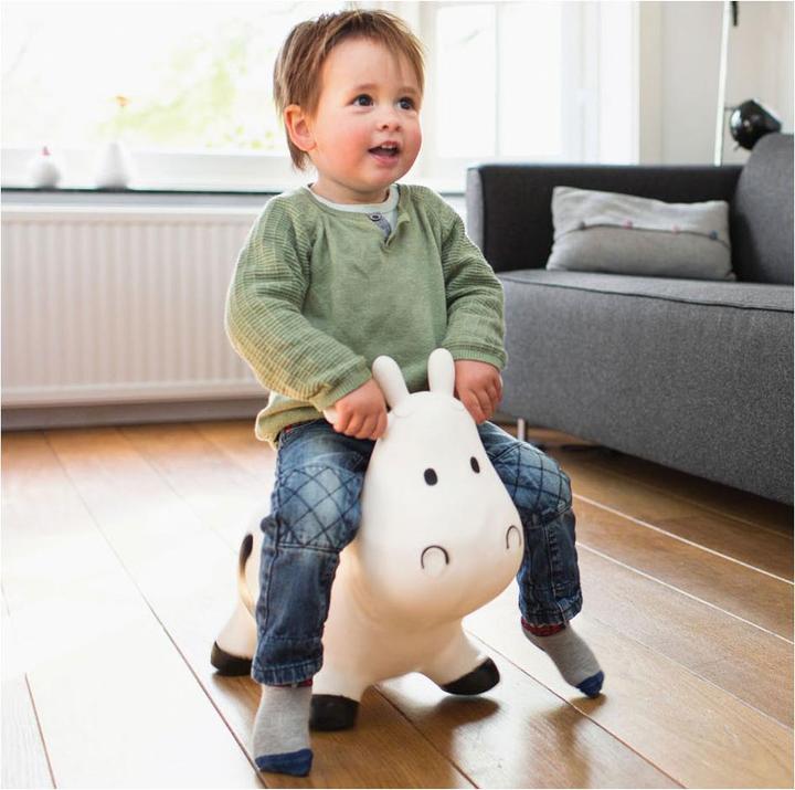 Actual product image BS Jumping cow