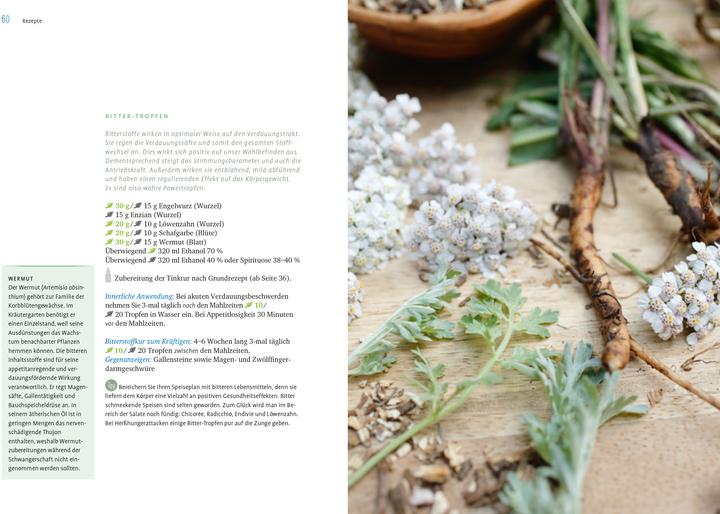 Actual product image Heilpflanzen-Tinkturen (German, Rudi Beiser, Helga Ell-Beiser, 2022)