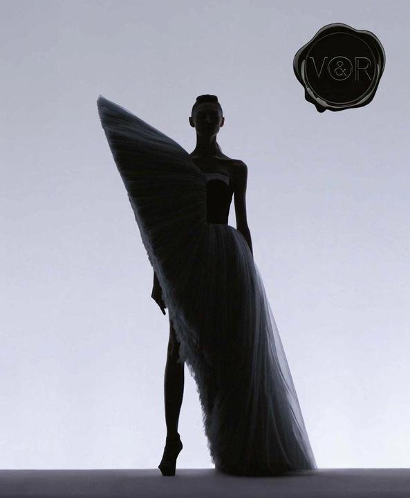 Image du produit Viktor&Rolf (Allemand, Anglais, Franziska St�hr, Roger Diederen, 2024)