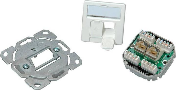 Image du produit Telegärtner TELEGAERTNER UPDose Cat6/Cl.E double 2xRJ45 alpinwhite AMJ45 (25.16.8650)