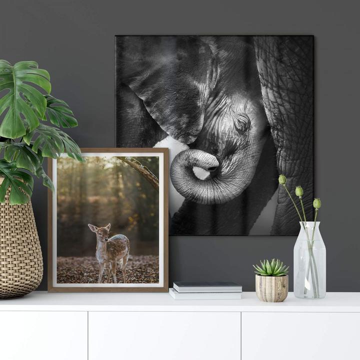 Produktbild Trenddeko Das Elefantenbaby (30 x 30 cm)