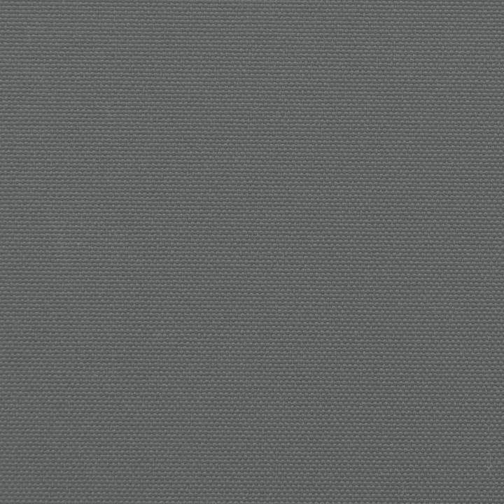 Image du produit VidaXL Store latéral extensible (10 m)