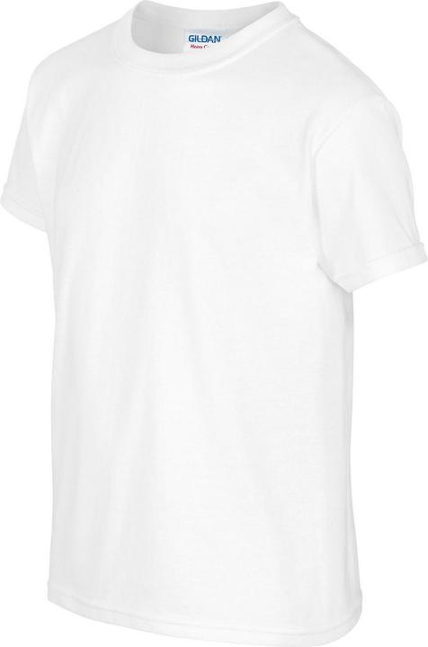 Actual product image Gildan Childrens/Kids Heavy Cotton T-Shirt (L)