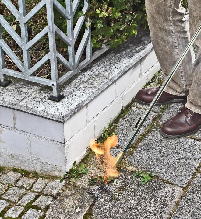 Immagine prodotto Rothenberger Industriale 30966 Flamer