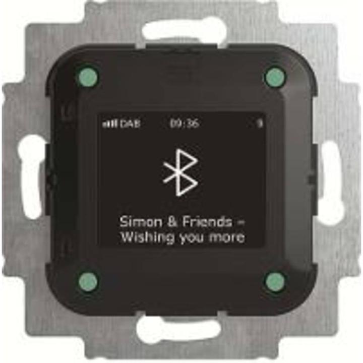 Image du produit Busch-Jaeger 8217 U-101 (DAB+ DAB, Bluetooth)