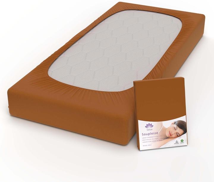 Immagine prodotto Lotus Bettwaren Lenzuolo matrimoniale in jersey Souplesse (90 x 200 cm)