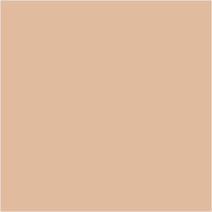 Produktbild Artdeco Light Luminous Fond de Teint No 22 (22 Neutral Chiffon)