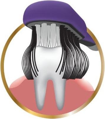 Produktbild Edel + White CleanCurl 3D Curved Zahnbürste (Mittel, 1 x)