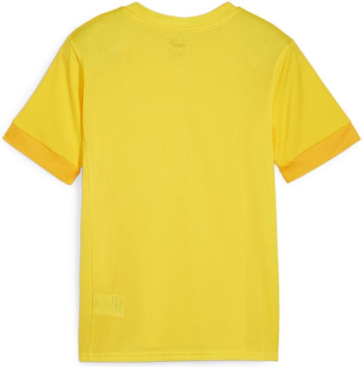 Actual product image Puma teamGOAL Matchday Jersey jr (128)