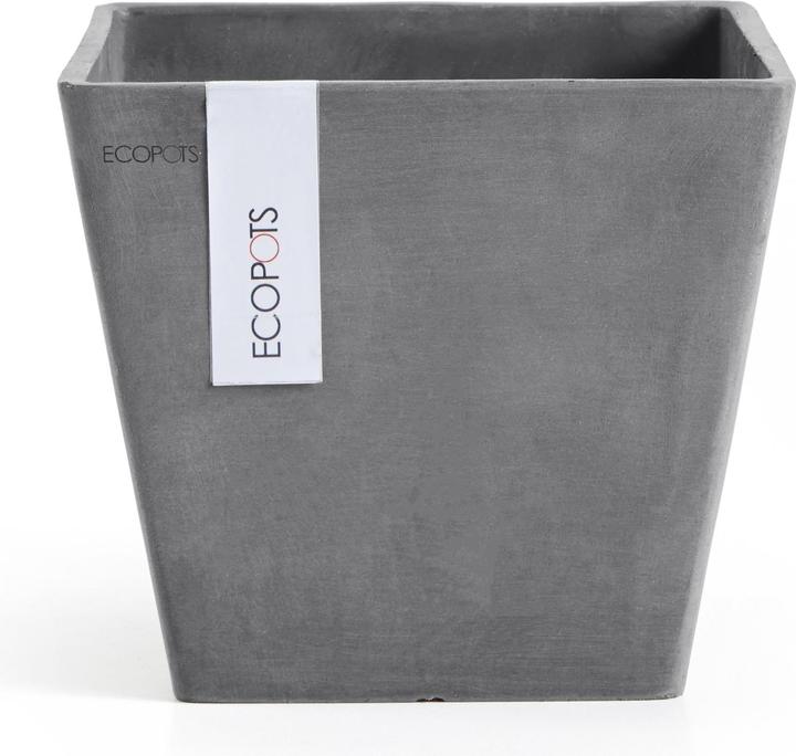 Grigio