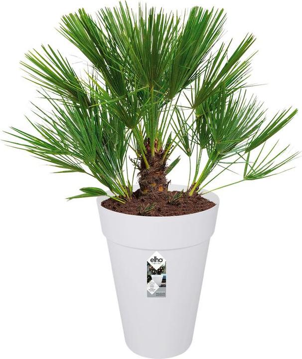 Image du produit Elho Loft Urban (33.50 cm)