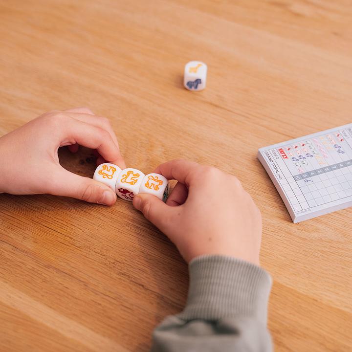 Actual product image Smart Games Zoo Yatzy (German)