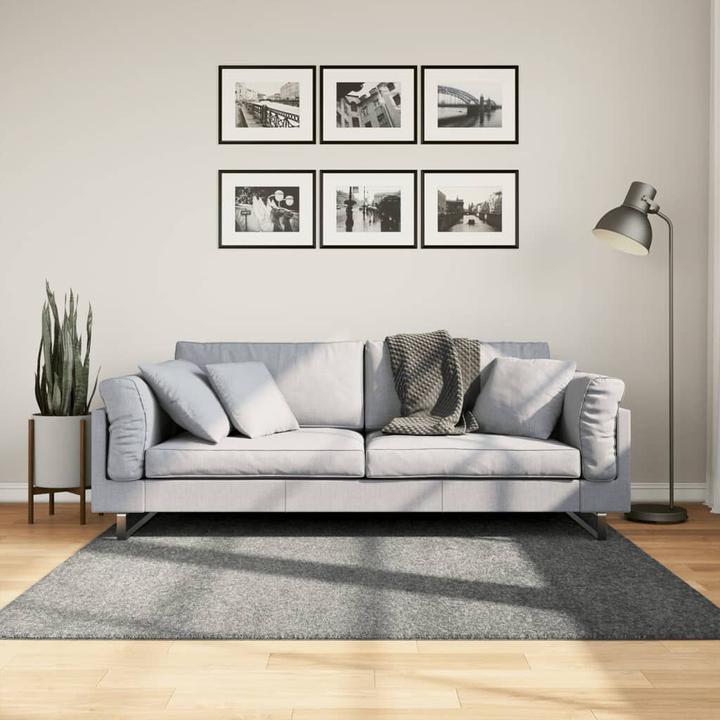 Immagine prodotto VidaXL Tappeto moderno a pelo alto Shaggy (160 x 160 cm)