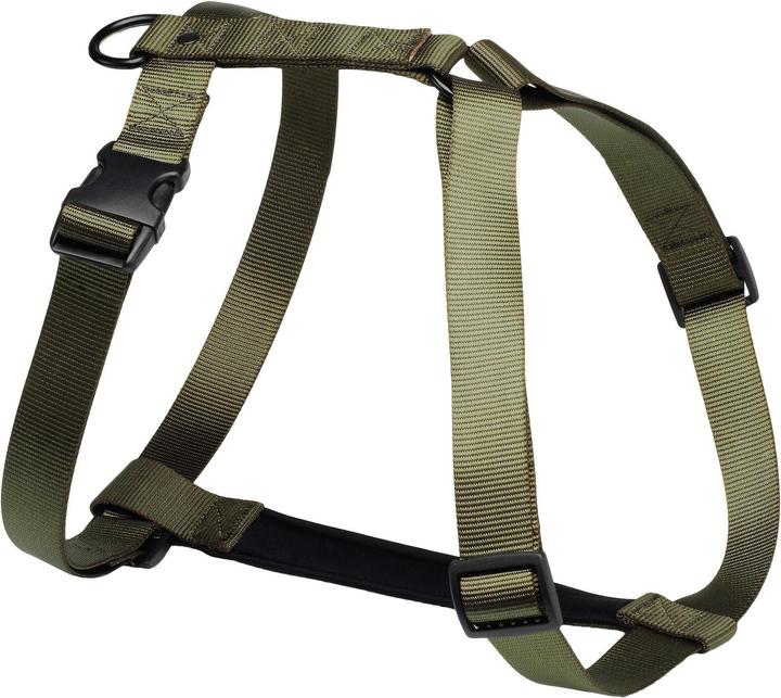 Solognac Sgh (M, Cane)