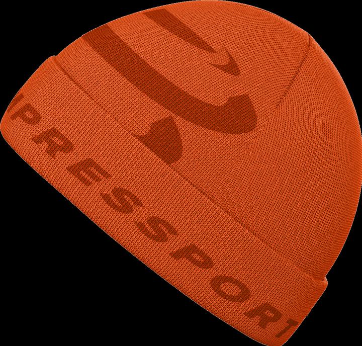 Image du produit Compressport Bonnet casual