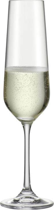 Actual product image Bohemia Cristal BOHEMIA Sel. wine glass 12pcs (12 Glasses, Red wine glasses)