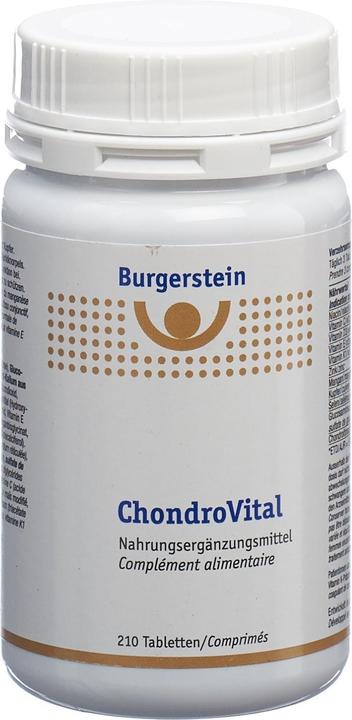 Produktbild Burgerstein Chondrovital (1 Stück, Tabletten, 328 g)