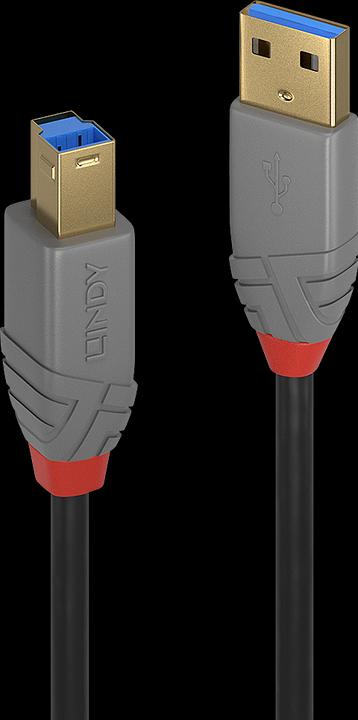 Actual product image Lindy USB/A-USB/B M-M (3 m, USB 3.0)