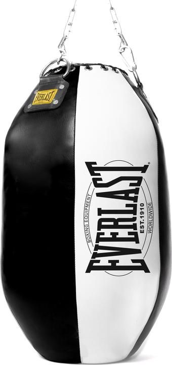 Image du produit Everlast Sac de tir pour le corps 1910 (31 kg)