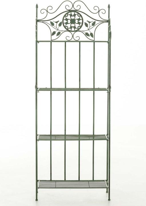 Produktbild CLP Flora Eisen (66 x 32 x 175 cm)