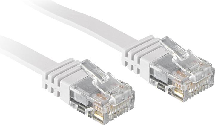 Lindy Netzwerkkabel (UTP, CAT6, 0.30 m)