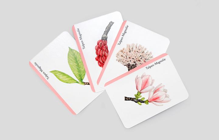 Image du produit 441876 - Arbre-Familles - Jeu de cartes, 3-8 joueurs, à partir de 6 ans (édition DE) (Allemand)